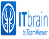 TeamViewer, 시스템 관리자 위한 솔루션 제안